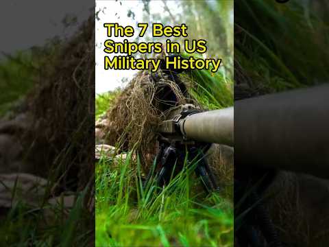 “THE 7 BEST