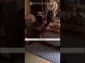 猫ファーストなおじいやん99歳