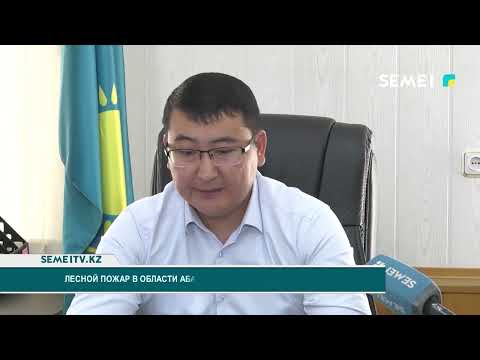 Лесной пожар в области Абай нанёс серьезный ущерб экологии