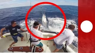 Fisherman narrowly avoids being impaled by huge marlin, Australia Net Worth