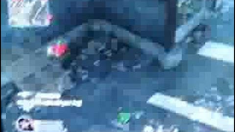 CoD 4 Crazy Glitch/Bug