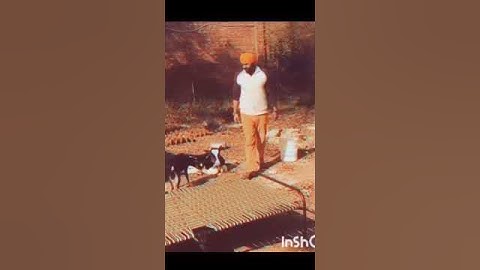 Thumbnail of Kainthe Wala 🌴ammy wirk #punjabisong #ammywirk #shortsfeed #viralshort #trendingshorts #short