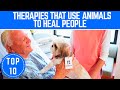 Top 10 Therapies That Use Animals to Help People - TTC