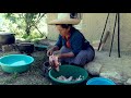 Preparando el Cuy Frito // Chota - Cajamarca - Perú