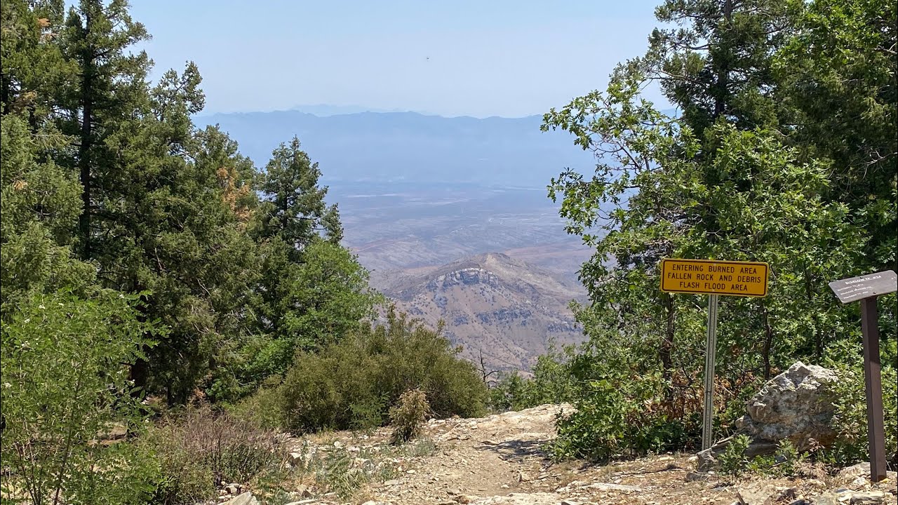 MTB Downhill Palisades Trail in Mt. Lemmon Arizona. YouTube