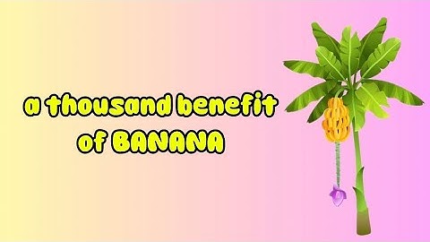 Video Pembelajaran||tanaman buah||