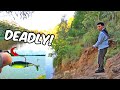 Fishing this NEW paddletail lure! | (Zman Shad Fryz)