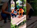 अमीर बनने का तरीका 😧 wait for end #comedy #paisa #funny #garib