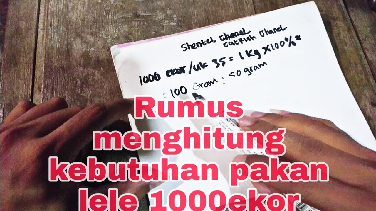 Rumus cara menghitung kebutuhan pakan lele Hasil Dangdut 