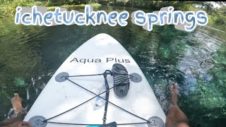Paddlebroading Ichetucknee Springs