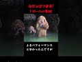 【未確認生物】海岸洞窟に隠れ住むトロールの集団!?