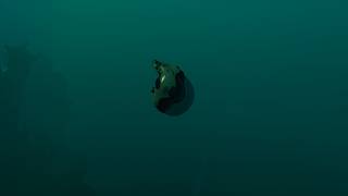 How to Find Tadpole MK1 Depth Module in Subnautica 2 | 2026 Up To Date Tutorial!