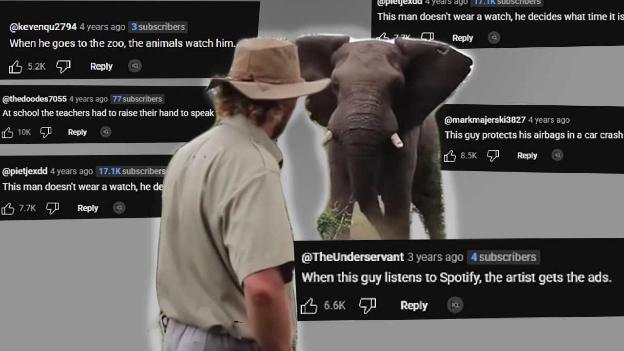 Elephants travels in groups because of this man | Chat Music
