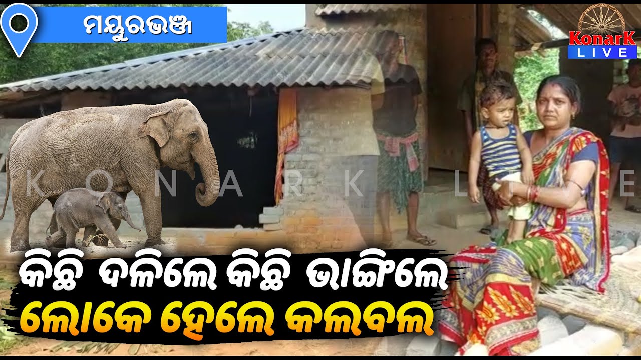 ହାତୀ ଉତ୍ପାତରେ ଅତିଷ୍ଠ ହୋଇ ବନ କର୍ମଚାରୀଙ୍କୁ ଅଟକ ରଖିଲେ ଗ୍ରାମବାସୀ, ମୟୁରଭଞ୍ଜ || MAYURBHANJ NEWS