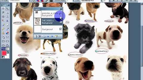 Lassos Layers & Selecting Images Paint .Net:Support Volunteerism! OSS in School!