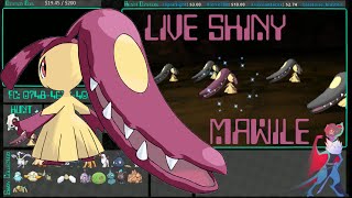 [Live] Shiny Mawile Fail and Reclaim at 58 and 15 Horde Encounters | Omega Ruby
