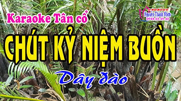 Karaoke tân cổ CHÚT KỶ NIỆM BUỒN - DÂY ĐÀO [Ns Cẩm Tiên]