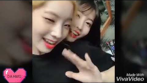 Dahmo, Satzu, 2yeon, Michaeng FMV