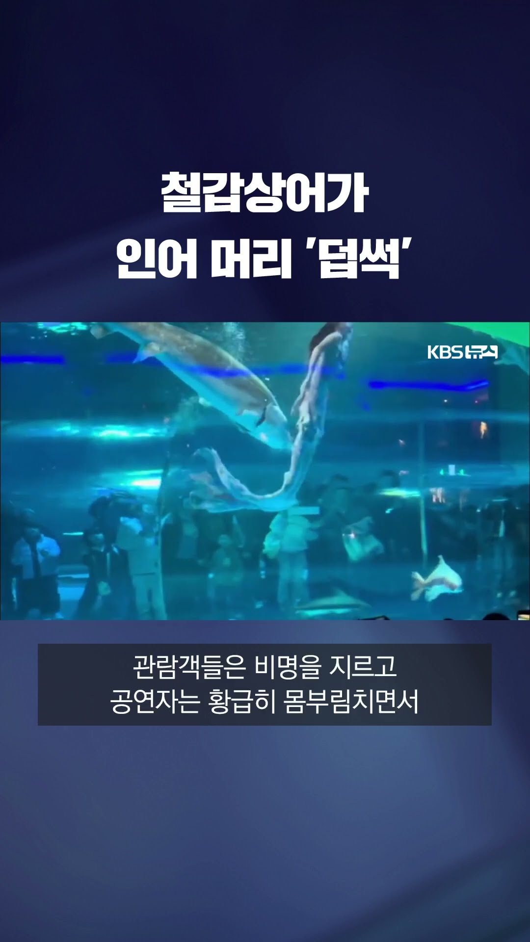 철갑상어가 인어 머리를 '덥석'…수중 공연 중 돌발 사고 #shorts / KBS