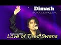 Dimash Kudaibergen Love Of Tired Swans Любовь уставших лебедей Dimash Kudaibergen Love Of Tired Swans Любовь уставших лебедей
