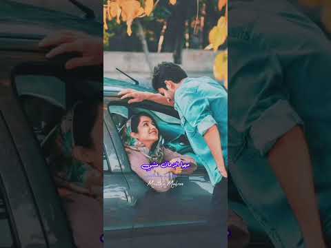 هاني شاكر الحب مالوش كبير