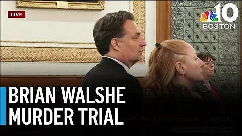 Defense rests after Brian Walshe announces he will not testify in his trial