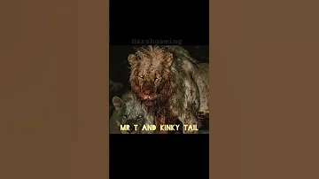 THIS DEADLIEST DUO MR T KINKY TAIL PART OF KING MAPOGO SCARIEST LIONS OF MAPOGO PRIDE 