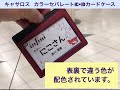 CASSAROS カラーセパレートIC・IDカードケース