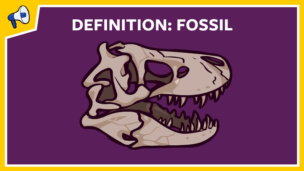 What is a fossil? Quick Definition - YouTube