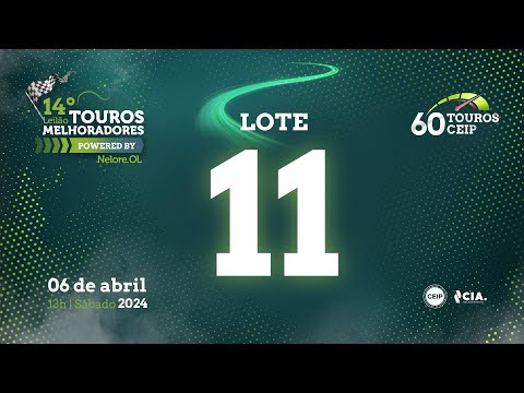 LOTE 11 V9112121 - 14º Leilão de Touros Melhoradores Nelore OL - Edição Virtual