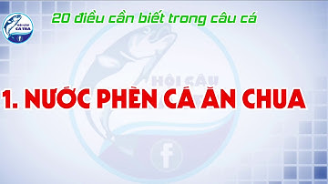 20 điều cần biết trong câu cá thegioicauca.com