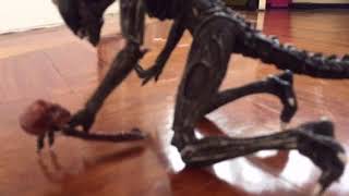 Aliens stop motion