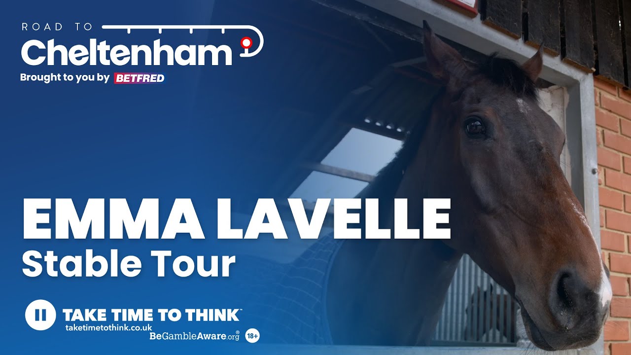 Emma Lavelle Stable Tour - Paisley Park latest Cheltenham 2024