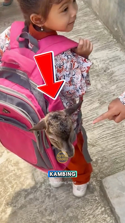 Bringing a baby goat to school ⁉️😳 #uniquefacts #goats