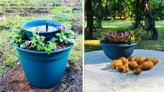 Fuente Solar y Cosecha de Papas Resimi