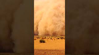 Песчанные бури в Сахаре shorts #shorts