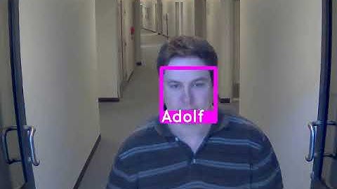 Realtime Face Recognition Demo using Deepsight SDK