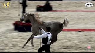 EgyptianEventCairo 2021  Class 4.mp4