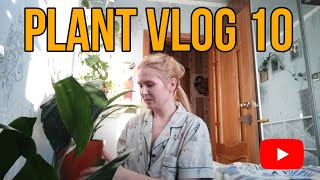 Plant Vlog 10: Навожу порядок на подоконнике с Комнатными РАСТЕНИЯМИ