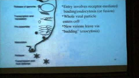 Viruses From Scratch - 2010 Buhl Lecture