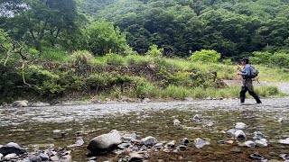 【フライフィッシング】【山梨県】同じ渓流を2つの仕掛けで狙う！前編ドライフライ