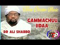 Oromo Music 2025 Dr Ali Shabbo Gammachuu Iidaa Biyyoo Music Oromo Music 2025 Dr Ali Shabbo Gammachuu Iidaa Biyyoo Music
