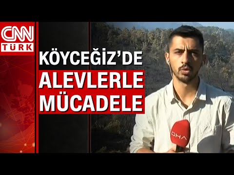 Köyceğiz'de yangınla mücadele son hız devam ediyor! Bölgeden son durum