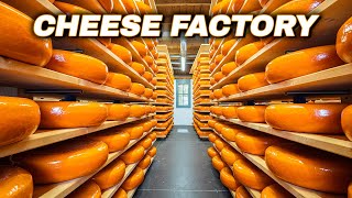 How Cheese Is Made  Cheese Production Line | Cheese Factory