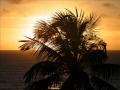 Brazilian Dinner Samba, Bossa Nova, Background Music, Best Music from Brazil for Expo 2015