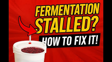 How to Fix Stuck/Stalled Wine & Mead Fermentation!