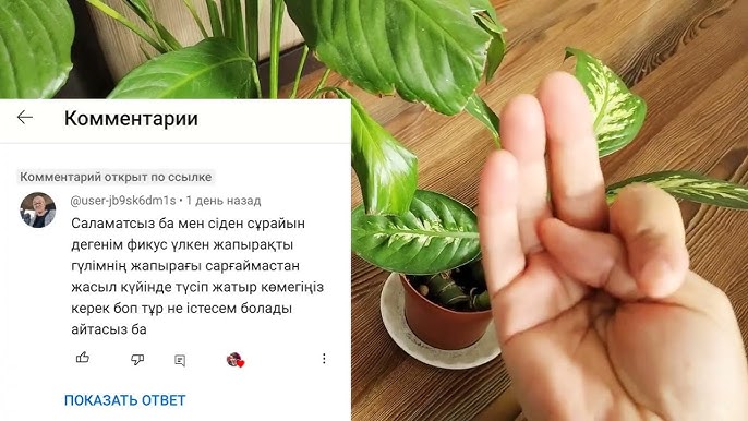 Теңіз жағасында нудист жағажайы бар