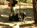 An Autistic Chimpanzee and her Neurobiologically Appropriate Therapy