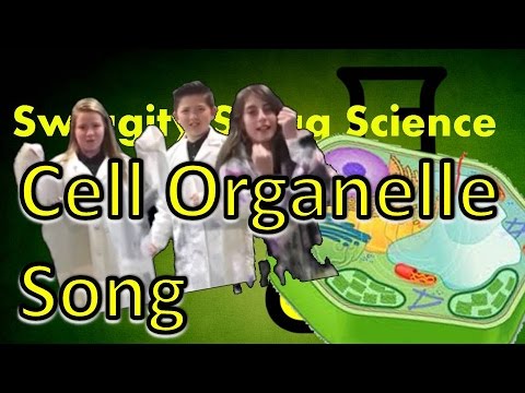 cell-organelles-song-(ice-ice-baby-parody)