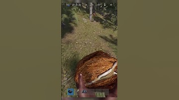 We created a Forest Trap in Rust!